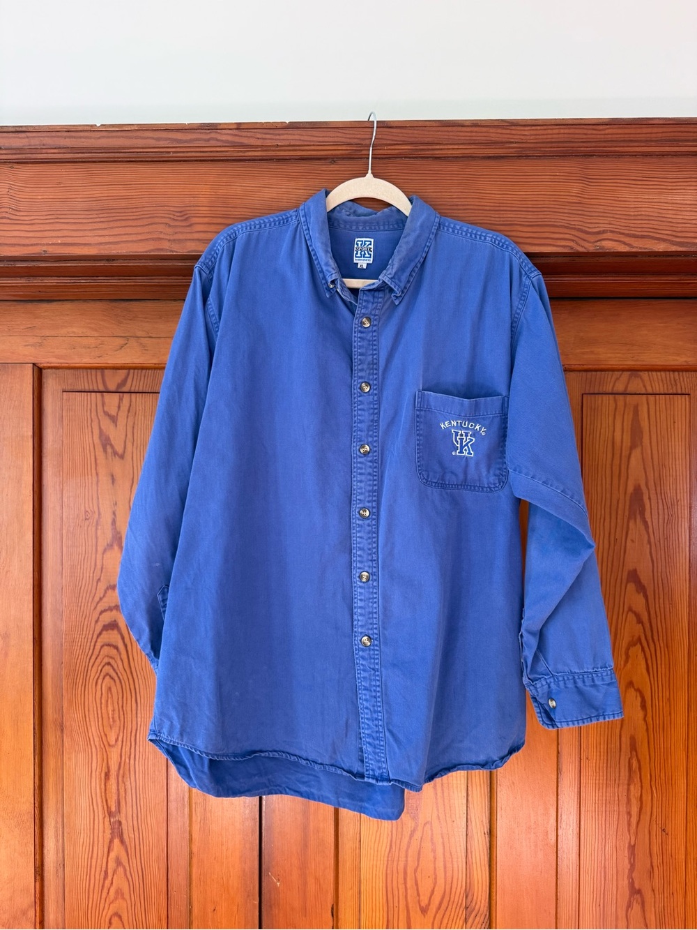 Blue Long-Sleeve Button-Down Shirt